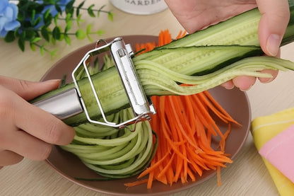 RVS Dunschiller Rasp